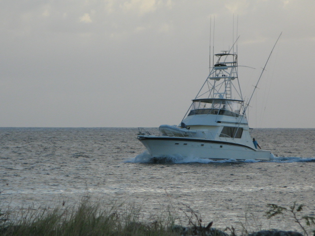 Name:  IMG_1661.JPG
Views: 424
Size:  145.2 KB