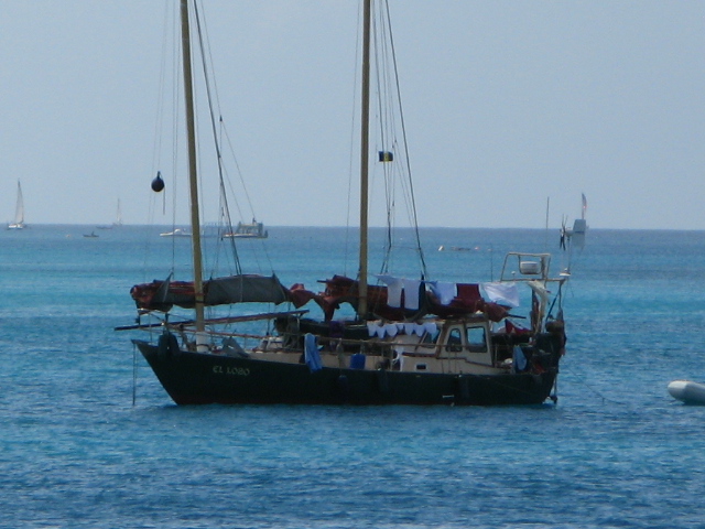 Name:  IMG_2241.JPG
Views: 886
Size:  153.7 KB
