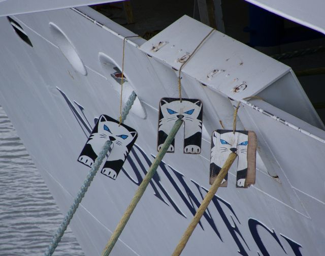 Круизные загадки