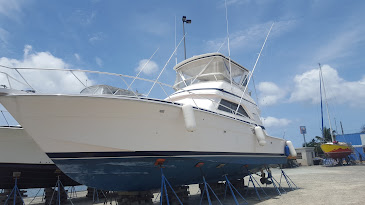 20160419_112146.jpg