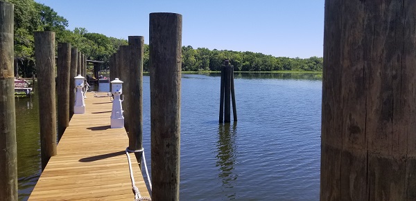 20190422_143520a.jpg