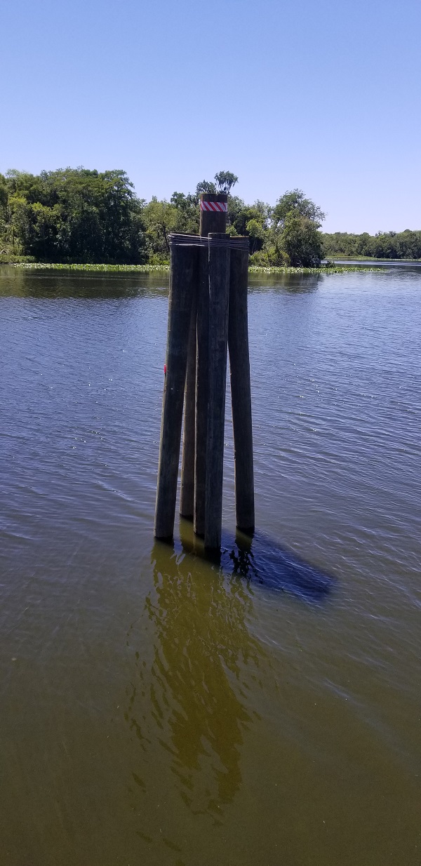 20190422_143526a.jpg