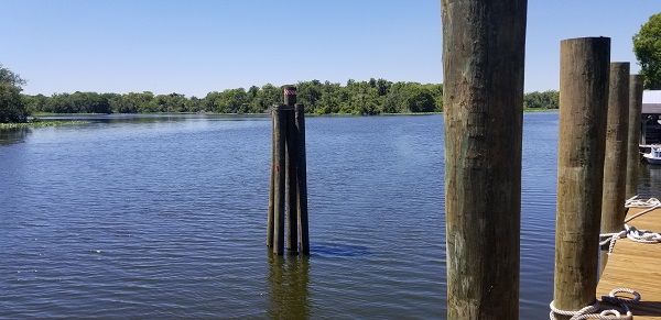 20190422_143545a.jpg