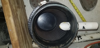 20220323_115559a.jpg