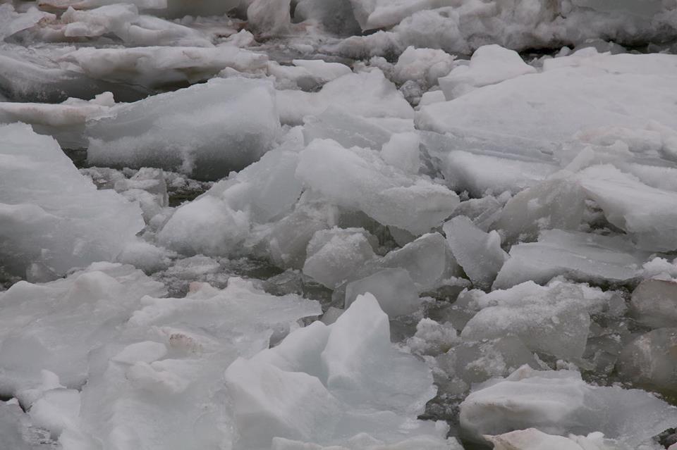 Branble 4 ice.jpg