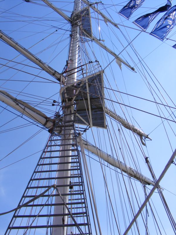 DSCF1333.JPG