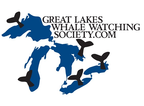 Great-Lakes-Whale-Watch-Society-3.29.16.jpg