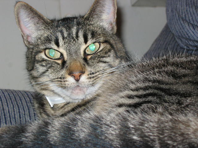 kat pics 4 1 08 014.jpg
