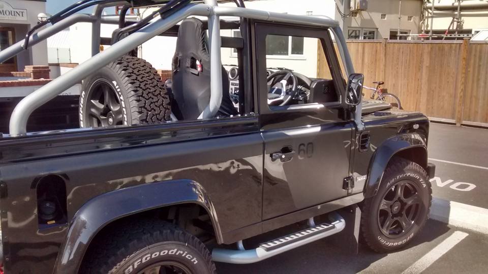 Landy cobo1.jpg