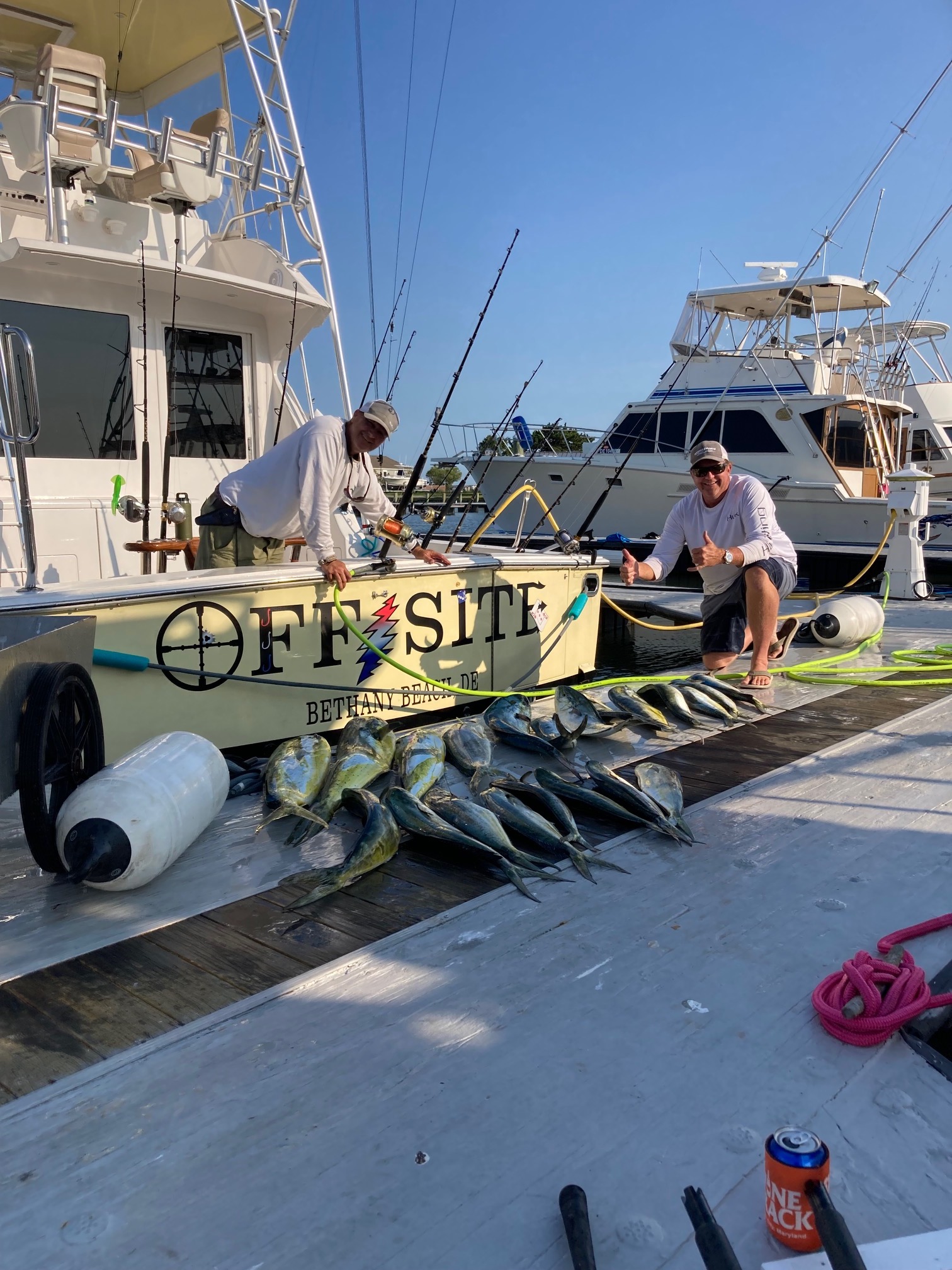 mahi.jpg