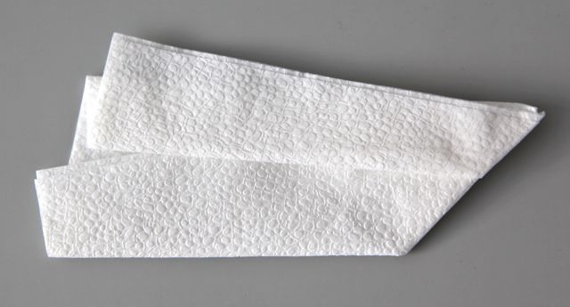 Napkin.jpg