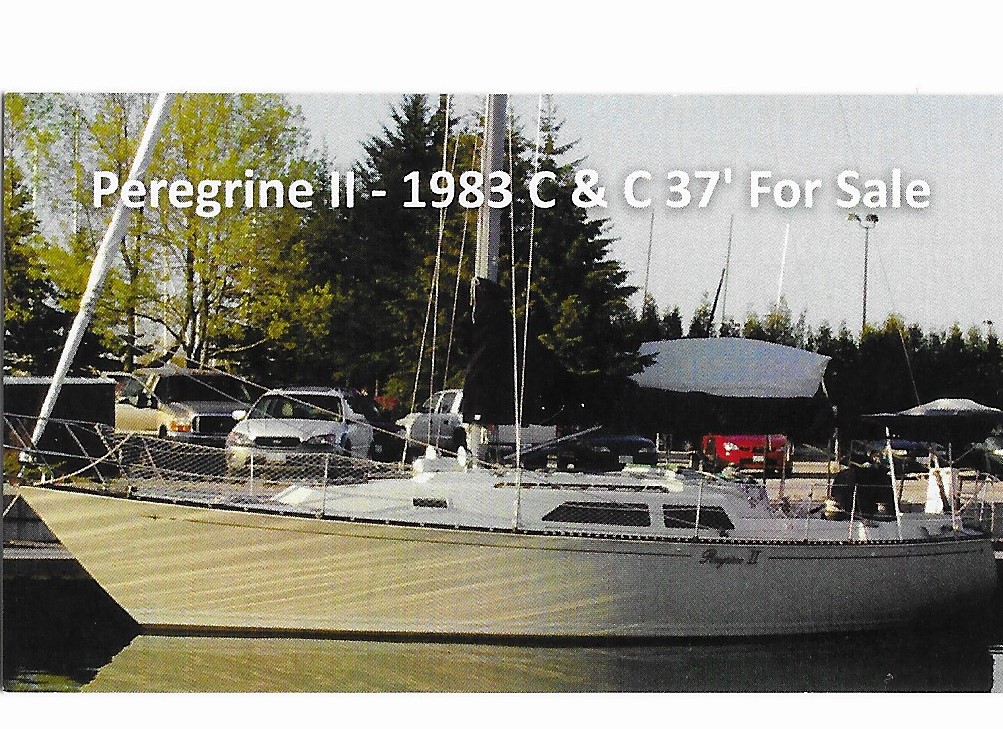 Peregrine 11 photo.jpg