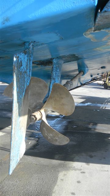 Tiger Shark II 004.jpg