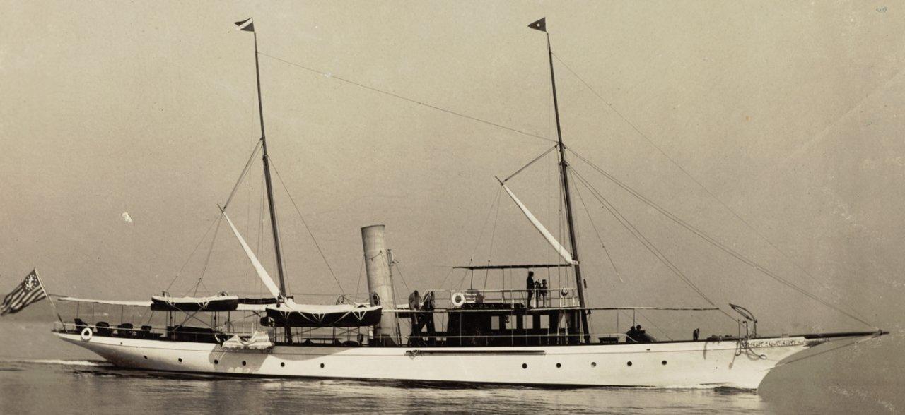 Viola 1895 (3).jpg