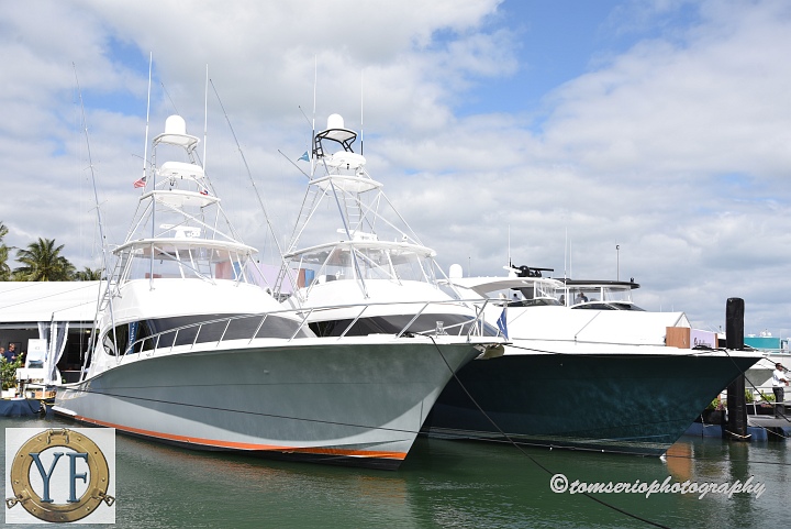 YF  - DSC_7850.JPG