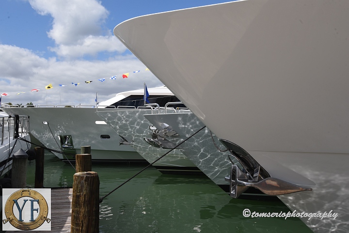 YF  - DSC_7879.JPG