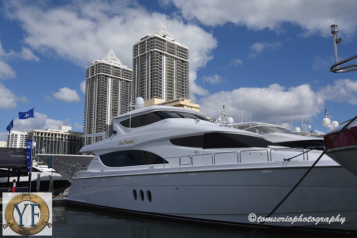 YF  - DSC_7895.JPG