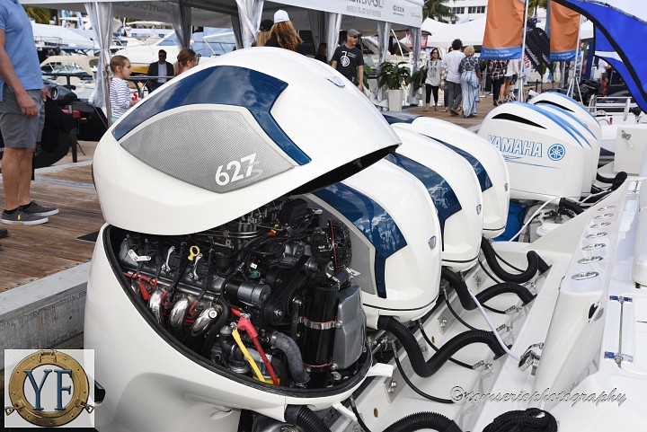 YF  - DSC_7986.JPG