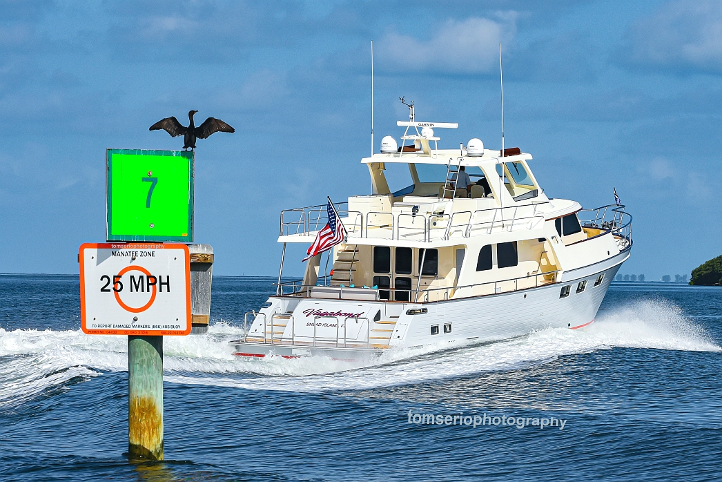 YF - Marlow DSC_5212.jpg