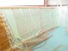 DSC00511.JPG