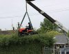 mowing a hedge.jpg