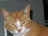 kat pics 4 1 08 006.JPG