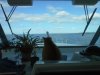 20141226_130541.jpg