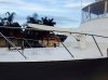 davit 3.JPG