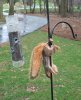 hung.JPG
