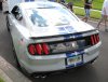 IMG_0268.jpg