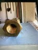 IMG_0029.jpeg